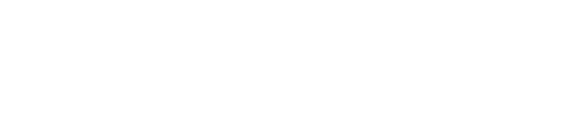 logo2
